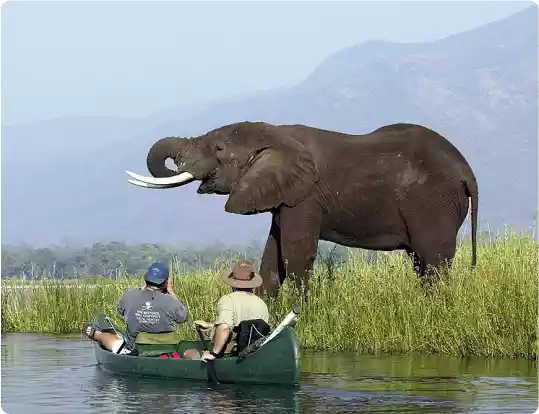 About GreenlandTenders